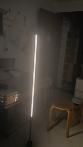 Modern Nordic Floor Lamp 140CM Height 3Color Adjustable Remote Control Brightness adjustable Ambient lighting