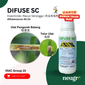 Brightonmax DIFUSE SC (500ml) Diflubenzuron 40.1% Insecticide Racun Serangga Kawalan Telur Ulat Pengorek Batang / Ulat Ratus / Plutella 氟虫胺 杀虫剂