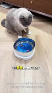 InnovatiMagnetic Drive Wireless Cat Water Fountain 100 Days Long Battery Life Ultra Quiet Filter-Free Suspension Pet Water Bowl