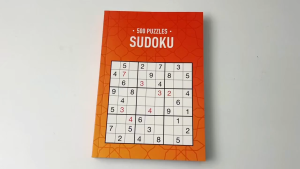 500 Puzzles Sudoku Activity Book To Solve With 320 Pages For Kids & Adults