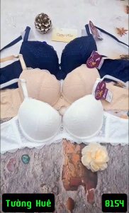 Áo Lót Nữ annie 8154 cao cấp ren mềm mút mỏng vừa có gọng