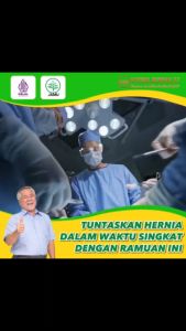 Obat hernia paling ampuh obat hernia buah pelir obat hernia obat turun berok dewasa obat hernia dewasa obat hernia herbal ampuh