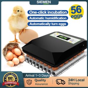 SIEMEN Egg Incubator Fully Automatic Digital Temperature Control Dual Power Supply Plastic COD