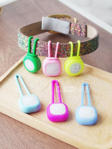 Pet LED Night Light: Dog Light-Emitting Pendant & Teddy Luminous Anti-Lost Light