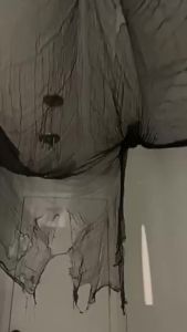 Vật Liệu Trang Trí Halloween Bằng Vải Gạc Cho Nhà Ma Tạo Không Khí Kinh Dị Đồ Trang Trí Tự Làm Cho Nhà Cửa Vườn Đồ Dùng Cho Tiệc Ngày Cá Tháng Tư