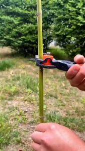 PENGIRIMAN CEPAT Taffware Gunting Cangkok Okulasi Batang Tanaman Grafting Pruning Tool 210 / gunting okulasi sambung batang pucuk serbaguna grafting cangkok tanaman super tajam / gunting sambung pucuk tanaman batang kopi