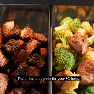 【Smart App Control】HOIIY 8L Glass Air Fryer Dual Zone Auto Warm FDA Coating-Free Pot Dishwasher Safe
