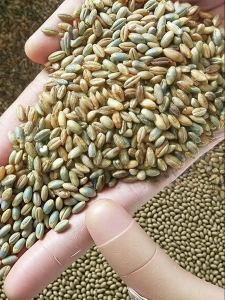 ZHENSHANGZUI | Low Fat Diabetes Friendly Coarse Rice