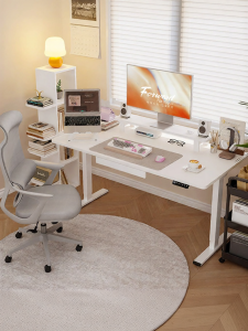Loctek | Smart Motorized Adjustable Desk Home Office Study Table
