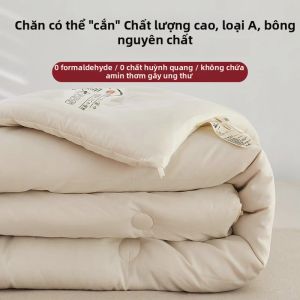 SHAYA | Chăn Duvet Cho Giường Đơn/Đôi Nhiều Mùa