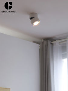 LED Surface Mounted Ceiling Spotlight Can Be 360 Degrees Adjustable Shop Commercial Cob Green Rice Smart Foldable Small Ceiling Downlight