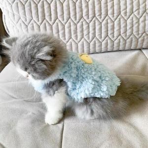 Warm Vest for Kittens 0-3 Months Small Dogs Pet Clothes Anti Shedding Cute Cat Clothes Autumn Winter Pet Supplies Cat Clothing