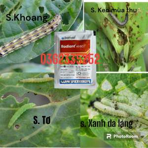Radiant 60SC Thuốc trừ sâu sinh học trừ sâu tơ sâu xanh bọ trĩ và cây trông khác.