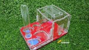 Nest+Ant Colony Start Colony Kit Type 1