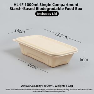 MOLORE | Biodegradable Two-compartment Meal Box Eco-friendly Disposable Rectangular Container