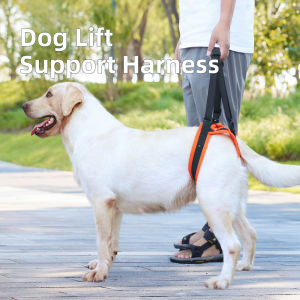 Sentexin Pet Dog Lift Harness Back Leg Support Rear Lifting Brace Harness for  Old Dogs Aid Assist Tool