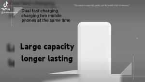 PowerBank 10000mAh-20000mAh Lithium Polymer Battery Light Indicator High Quality Fast Charging Dual 2.1A USB Port and 2.1A Dual Input Original Power Bank