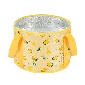 Insulated Portable Folding Foot Bath Bag
