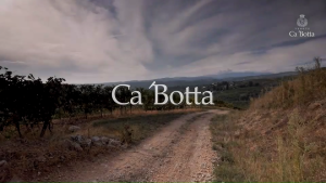 CaBotta Cerviero Rosso Veneto IGT 2020 Italian Red Wine - Deep Red Complex Flavor Full-Bodied 750ml