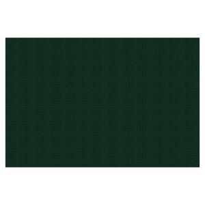 OULAISEN | Entrance Door Mat Customizable Green Carpet