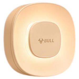 Bull | Human Induction Night Light for Bedroom Hallway