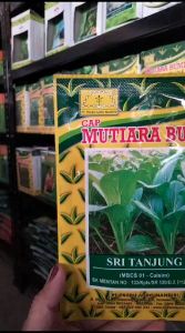 Benih Bibit CAISIM SRI TANJUNG 25gr Sawi Caisim Unggul Cap MUTIARA BUMI