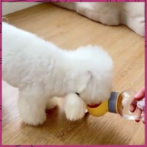 กระบอกน้ำสัตว์เลี้ยงที่ให้น้ำ อาหาร แบบพกพา 2in1 ขวดน้ำสัตว์เลี้ยง สุนัข หมา แมว กระบอกน้ำหมา