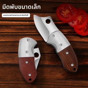 FUJUN | Multi-functional Mini Folding Knife Portable Keychain Knife Express Package Opening Knife Outdoor Small Knife