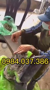 Máy xay nghiền bột trầm hương 6 búa đập động cơ 3000W