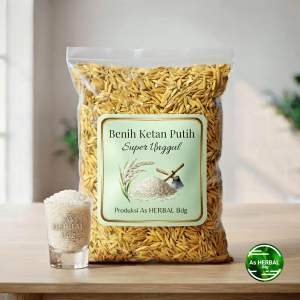 Benih padi ketan putih super 1 kg-az