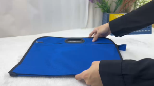 Document File Folder Bag Zippered 2 Pocket Folder Tuition School Teacher Fail Murah