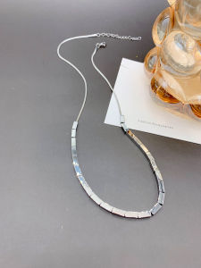 Titanium Steel Snake Bone Chain Necklace Womens Summer Trendy Light Luxury Clavicle Chain Small Square Block Design