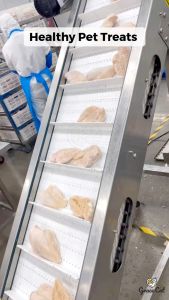 Grace Cat Freeze Dried Chicken Liver | Healthy Pet Treat Raw Meat | Premium Snacks Supplement Healthy Pet Food | For Cats & Dogs | 宠物冻干零食猫狗 - 鸡肝