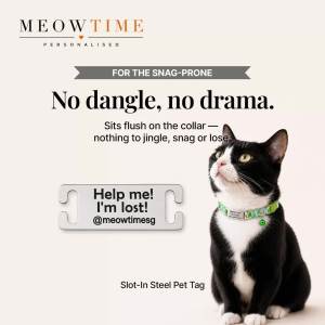 MeowTime Personalised - Laser-Engraved Slot-In Steel Pet Name Tag for Cats & Dogs