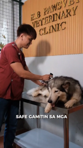 LKJ- Anti-garapata kuto at pulgas Fipronil Tick Buster Spray Treatment 200ml (anti garapata pulgas at kuto) Fipronil Pet Spray Treatment for dogs and cats anti ticks fleas and lice