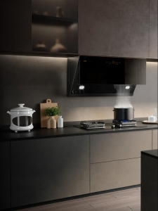 Sidewall Extraction Range Hood