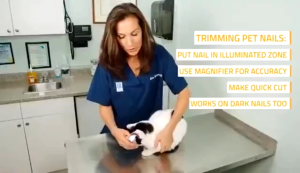PETCARESMY LED Pet Dog Cat Nail Cutter Clipper Cutting Machine Pet Scissors Pet Nail Trimmer Pemotong Kuku Kucing