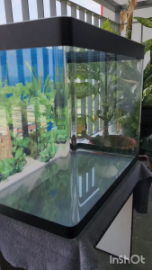 Aquarium Curve Fish Tank