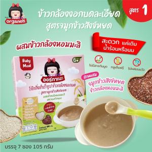 Organeh โจ๊กข้าวกล้องงอกบดสำหรับเด็ก ตราออร์กาเนะ Supplementary Baby Meal Mixed Gaba Rice Porridge