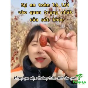 Táo Đỏ Tân Cương chín khô trên cây nguyên bụi không qua sấy rửa thơm ngon 100% tự nhiên không chất bảo quản loại thượng hạng - Dược Liệu Quý.