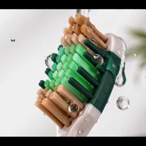Bộ 6 Bàn Chải Đánh Răng Mềm Miswak Với Lông Bàn Chải Tẩm Dầu Thầu Dầu Chăm Sóc Răng Miệng Tự Nhiên Từ Thực Vật Tiện Dụng Cho Du Lịch & Sử Dụng Tại Nhà