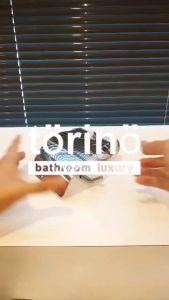 torino Premium Bathroom Accessories Stainless Steel 304 Tissue Holder T0 Series Pemegang Tisu 纸巾架