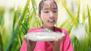 Bánh Tráng Tròn Phơi Sương Dẻo 100%. Bánh mềm dẻo .Đúng 1kg Bánh Tráng Nguyên Cái Phơi Sương Mềm Dẻo