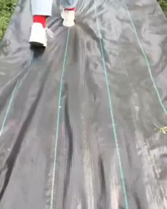 【Thickened】Weeding Cloth PP Material Thermal Insulation And Moisturizing Weeding Barrier Fabric Premium Landscape Ground Cover Eco Friendly Weeding Control Commercial Gardening Mat Easy Mulch to Set Up Robust And Durable