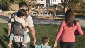 JuNan Mall Flip 4-in-1 Convertible Carrier（Classic Grey）