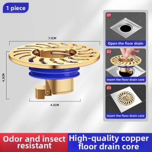 Odor Prevention Filter Floor Drain Bathroom