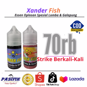 Essen Ikan Mas Rame & Indukan | Xander Fish Juara