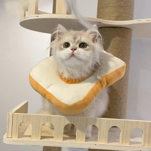 Adjustable Elizabethan Recovery Collar for Spayed Neutered Cats And Dogs Pet Supplies Anti-Stress Anti-Bite Lick Puppy Gear