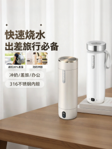 Philips | Cốc Đun Chạy Điện Thép Không Gỉ 316 Xách Tay