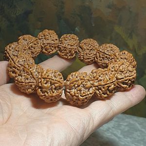 Gegegems 22+ to 23mm+ premium Nepal Rudraksha dense high natural oil content Honeycomb Double Dragons 6 Mukhi bracelet